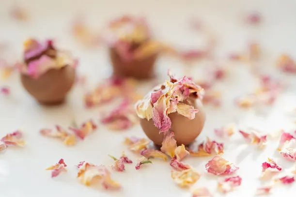 LottoKings Kasino Android/iOS Aplikácia